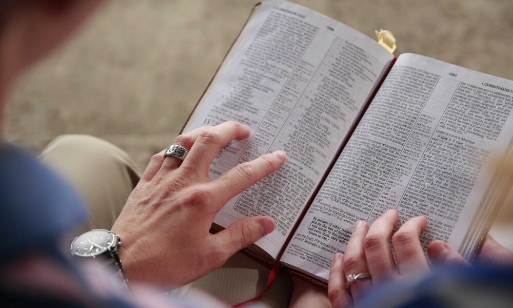 The value of politics in society all Nigerians need to know.