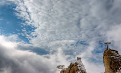 Relationship Between Dreams and Aspirations