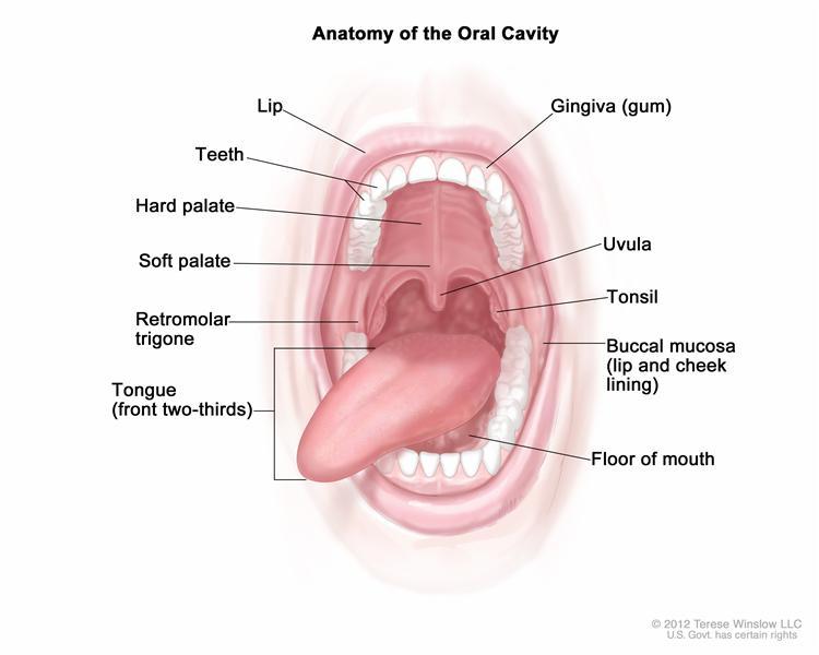 Oral Cancers deadly
