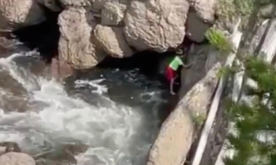 The Need for the Parent to be Arrested as Video of Child’s Life-Endangering Behavior at National Park Sparks Outrage Online: